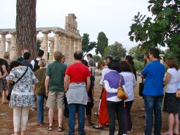 Summerschools 2011